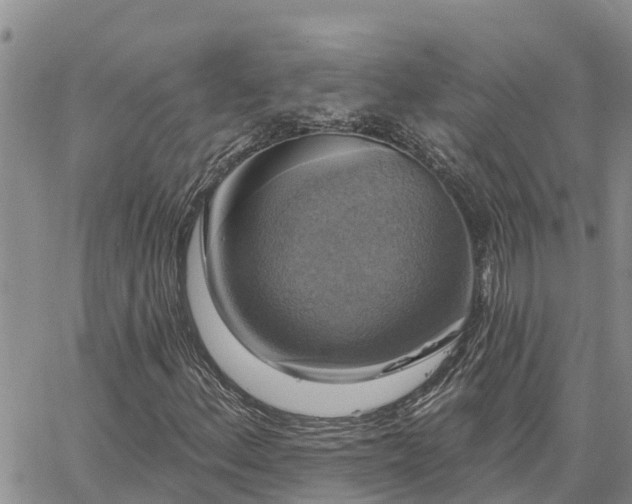 X0000064741156200602171700