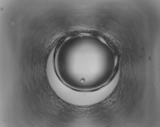 X0000064741157200602171700