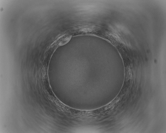 X0000064741158200602171700