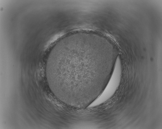 X0000064741159200602171700