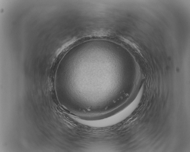 X0000064741160200602171700