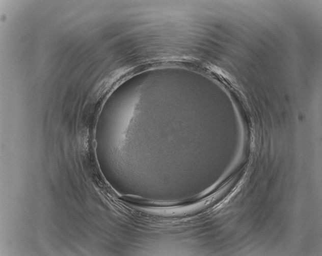 X0000064741161200602171700