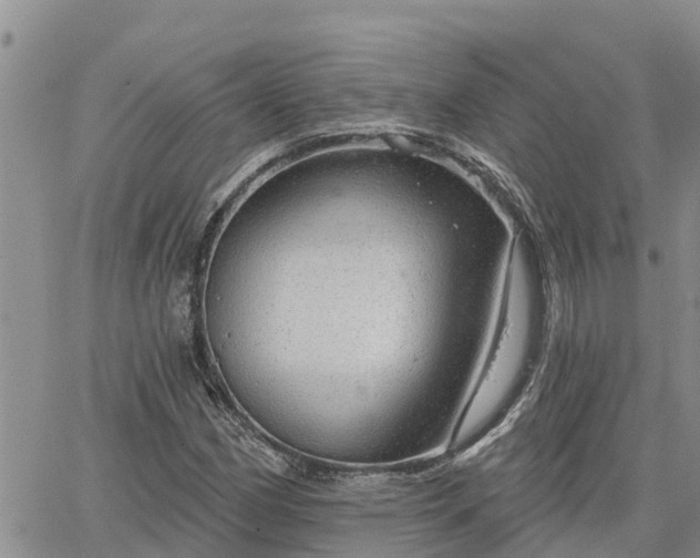 X0000064741162200602171700