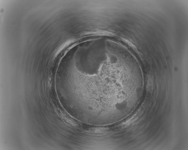 X0000064741163200602171700