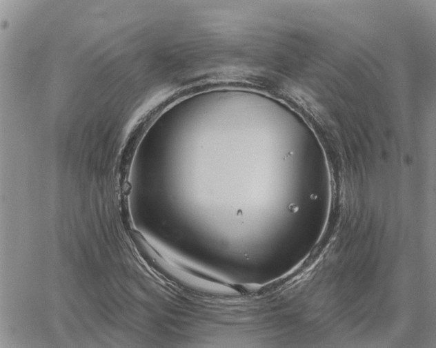 X0000064741164200602171700