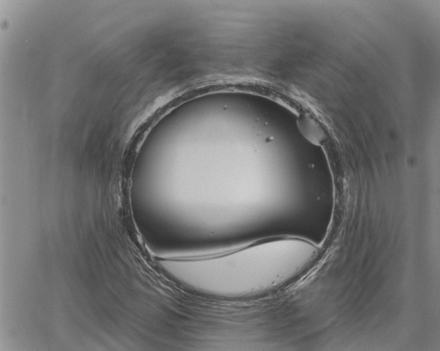 X0000064741165200602171700