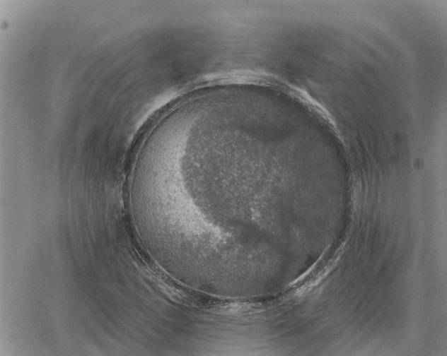 X0000064741166200602171700