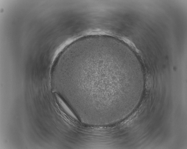 X0000064741167200602171700