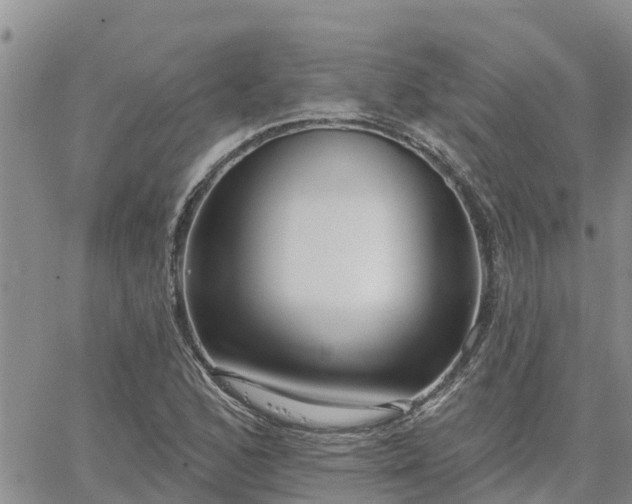 X0000064741168200602171700