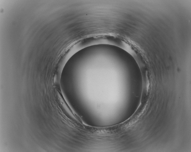 X0000064741169200602171659