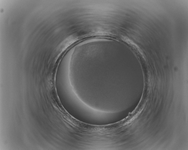 X0000064741170200602171659