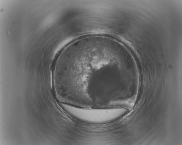 X0000064741171200602171659