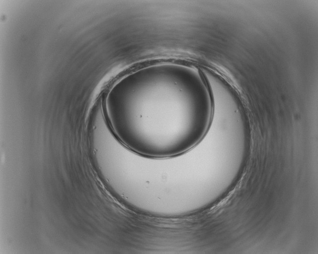 X0000064741172200602171659