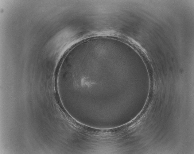 X0000064741174200602171659