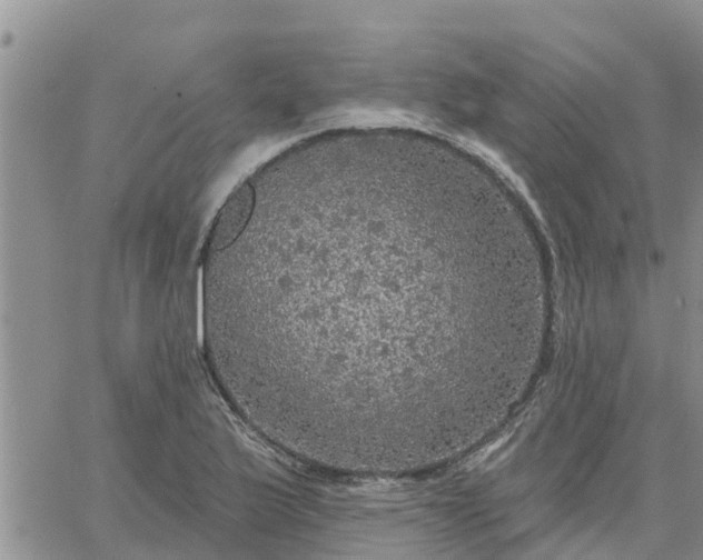 X0000064741175200602171659