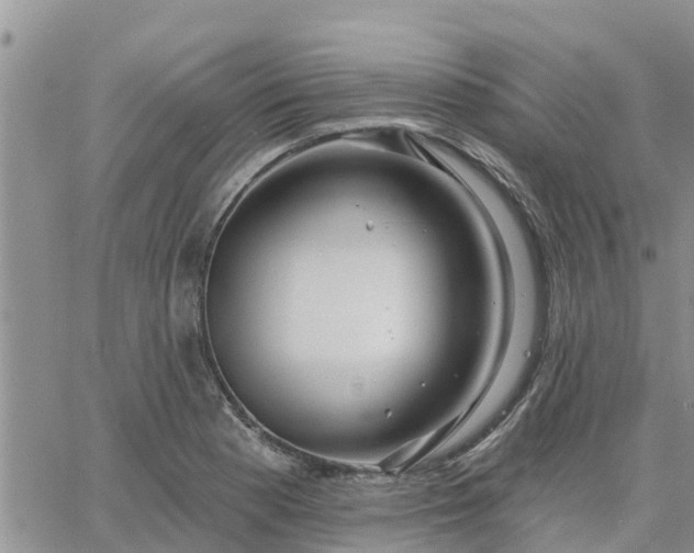 X0000064741177200602171659