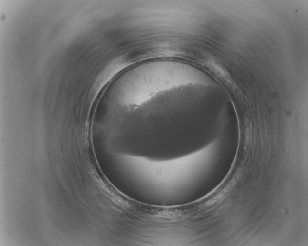 X0000064741178200602171659