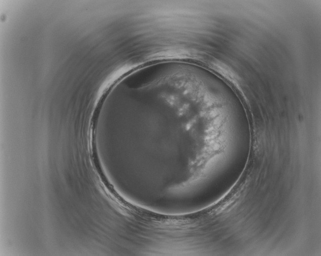 X0000064741179200602171659