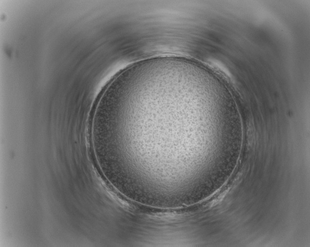 X0000064741182200602171659