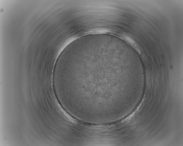 X0000064741186200602171659