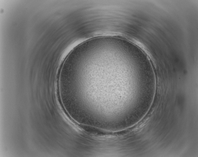 X0000064741187200602171659