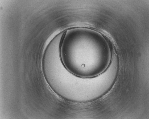 X0000064741188200602171659