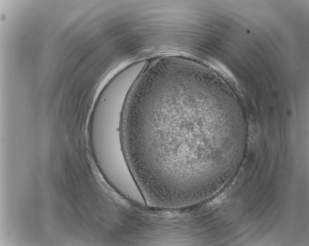 X0000064741190200602171659