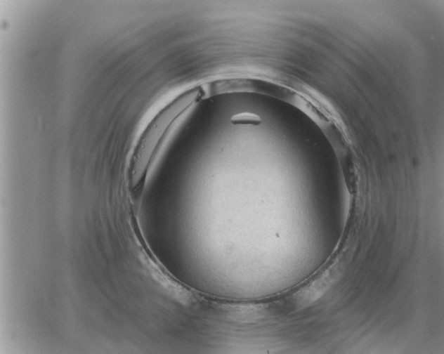 X0000064741192200602171659