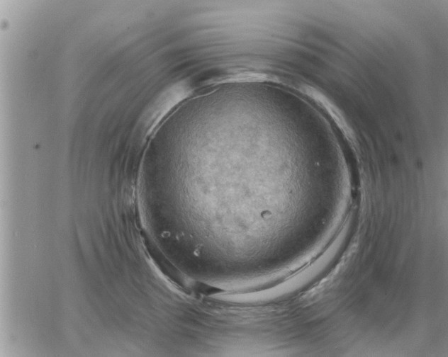 X0000064741193200602171659