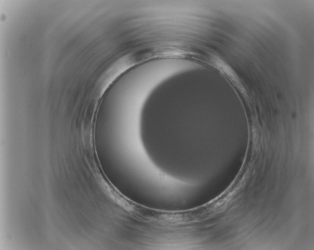 X0000064741194200602171659