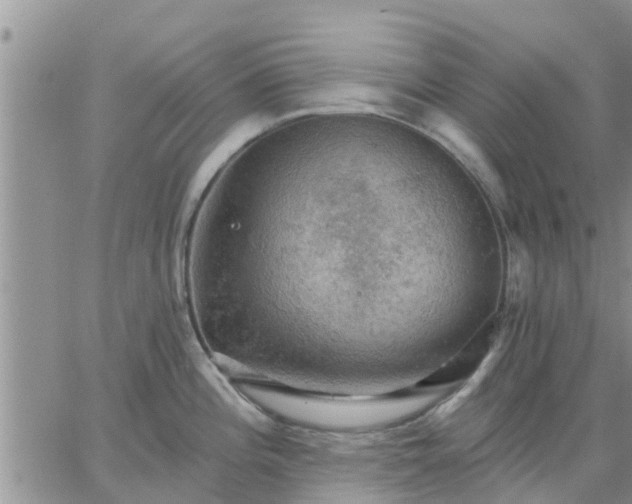 X0000064741196200602171659