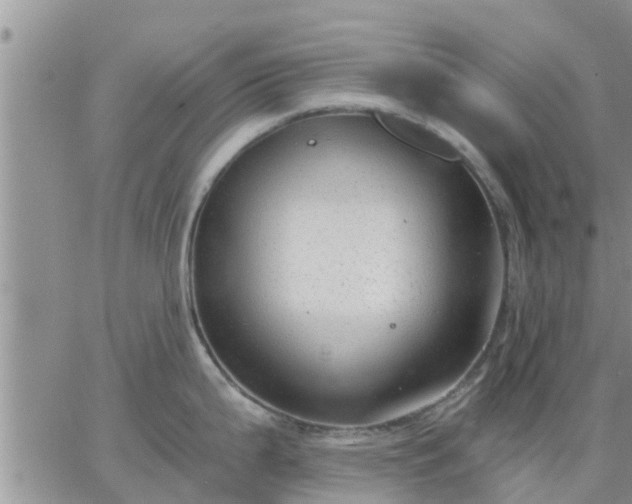 X0000064741199200602171659