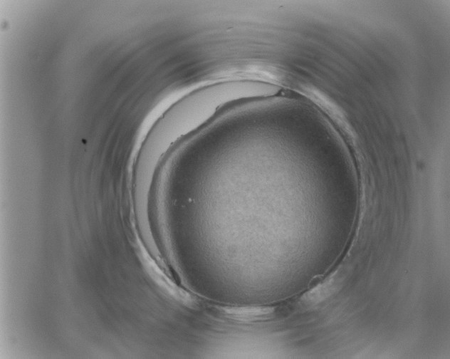 X0000064741200200602171659