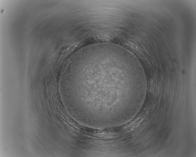 X0000064741201200602171658