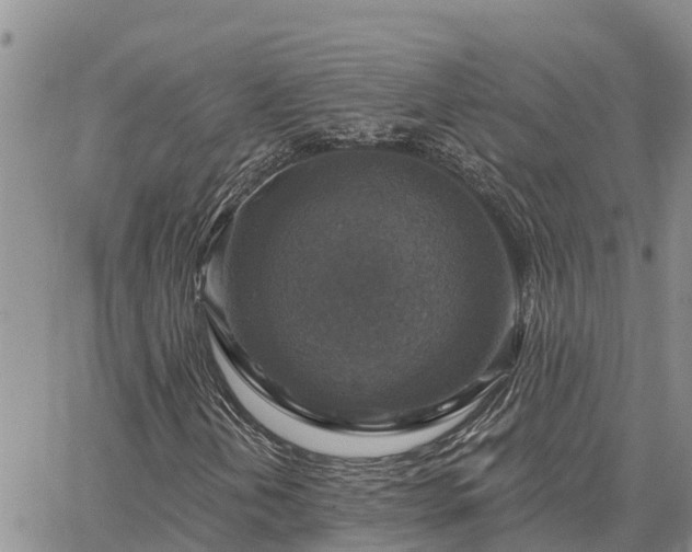 X0000064741202200602171658