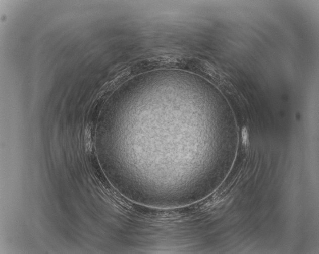 X0000064741203200602171658