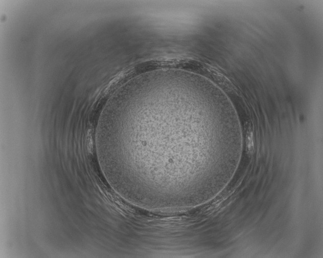 X0000064741204200602171658