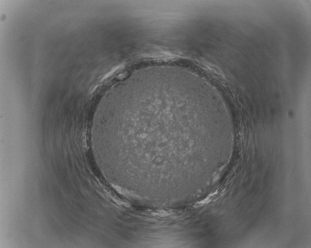 X0000064741205200602171658