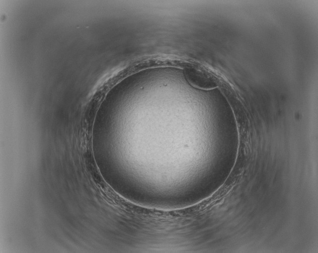 X0000064741207200602171658