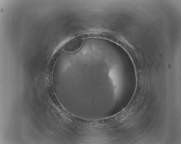 X0000064741208200602171658