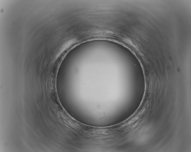 X0000064741211200602171658