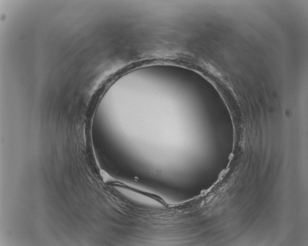 X0000064741214200602171658