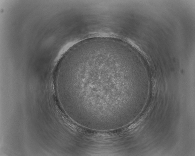 X0000064741215200602171658