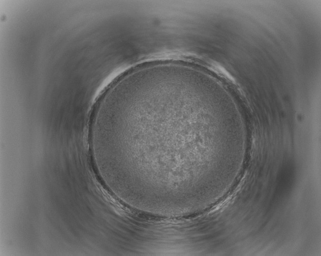 X0000064741216200602171658