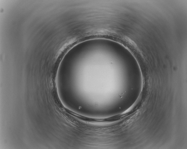 X0000064741218200602171658