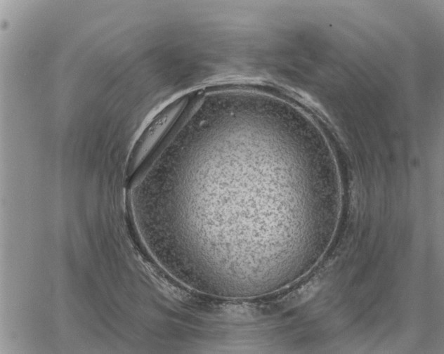 X0000064741220200602171659