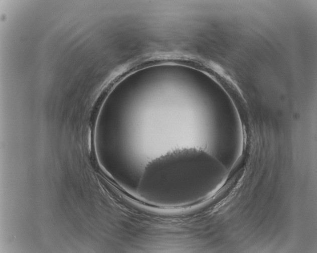 X0000064741221200602171659