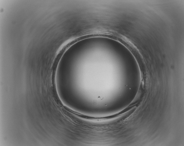 X0000064741222200602171659