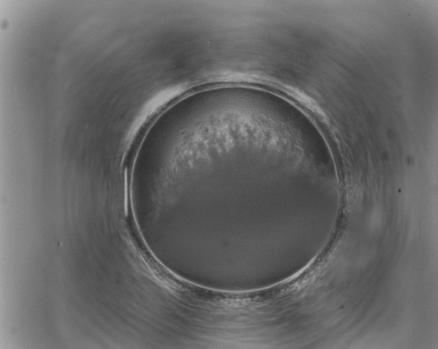 X0000064741223200602171659