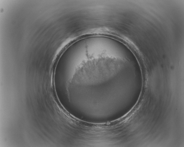 X0000064741224200602171659